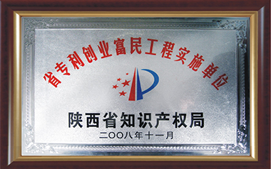 Shaanxi Provincial Patent Entrepreneurship Enrichment Project Implementation Unit (2008)